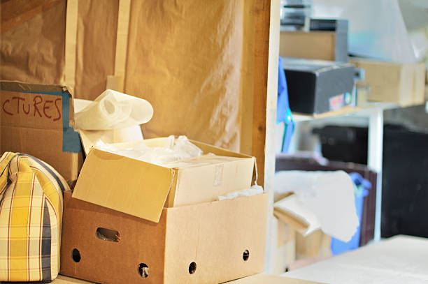 Best Affordable Junk Removal Services  in Nederland, CO